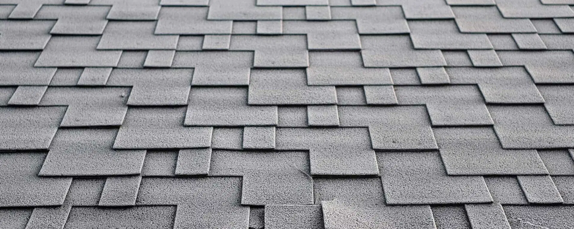 asphalt shingle roof